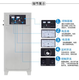 廣州空氣源臭氧發生器選購指南 100克凈化設備詳解